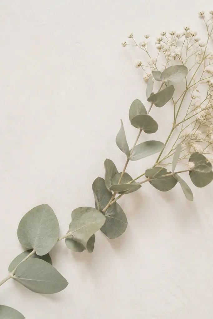 A slim rectangular frame with a mostly white and pale green palette. Wispy eucalyptus leaves form a diagonal line, while tiny pressed baby's breath specks cluster at the end of the diagonal. Background is off-white with a hint of texture.