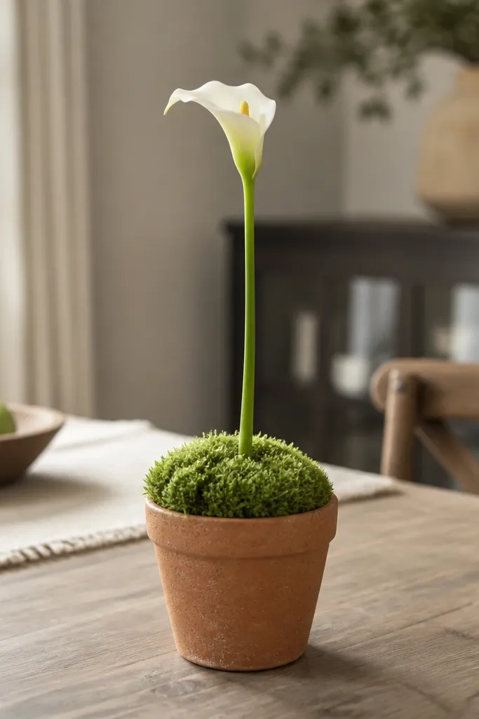 Small terracotta planter filled with moss and one long stem
