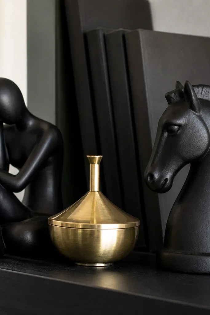 Matte black and brass decor objects lined across shelves
