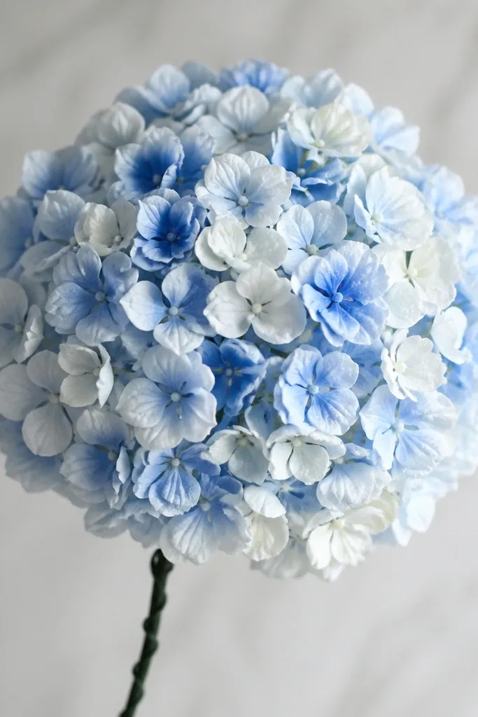 A hydrangea-like cluster with many small round blooms packed closely. Colors are light blue and white, with a few deeper blue centers. The cluster sits on a wire stem.