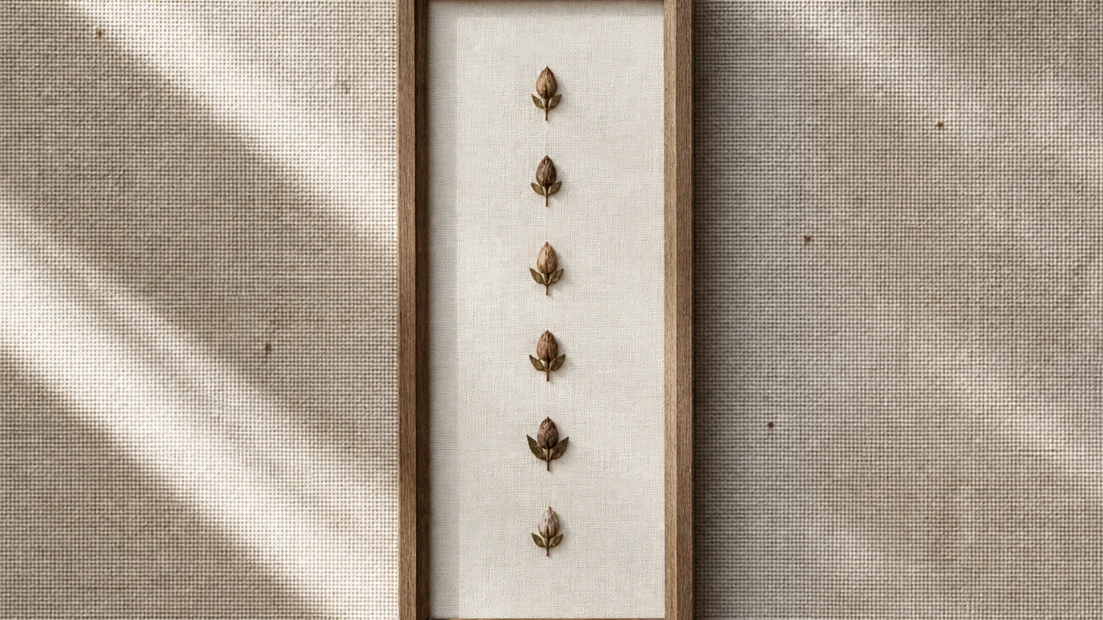 A tall narrow frame with small pressed buds arranged in a single evenly spaced vertical line on pale backing.