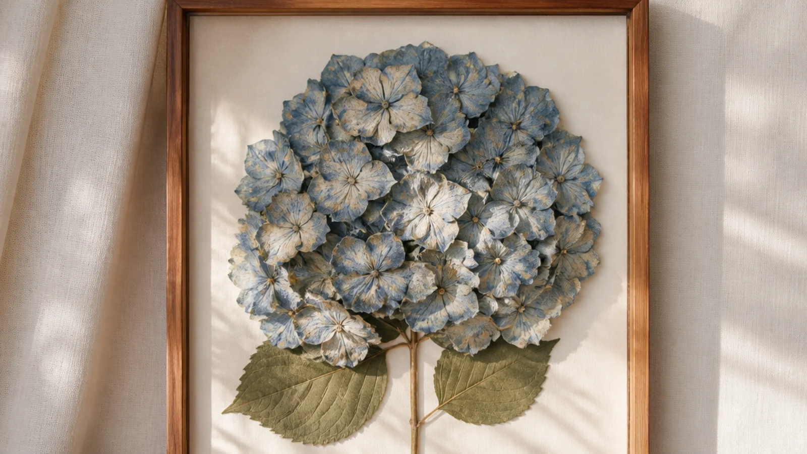 A large deep frame filled edge to edge with a single dried blue hydrangea head, its florets creating dense texture.
