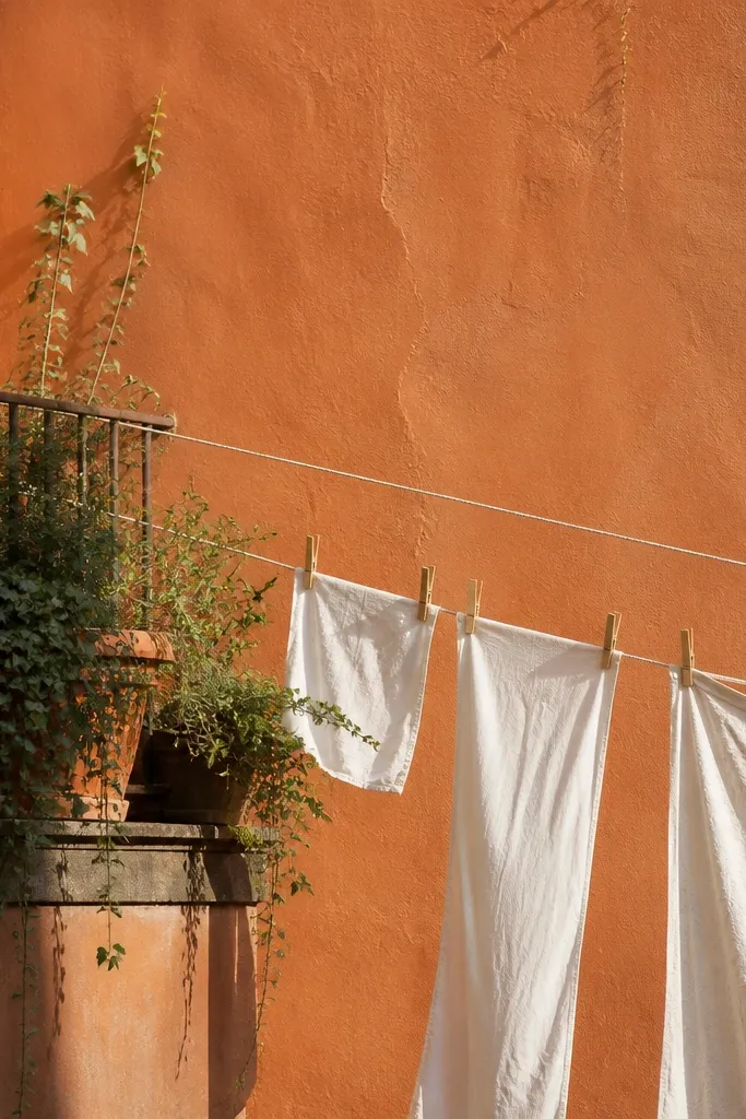 Terracotta balcony with potted plants and soft laundry lines against warm walls