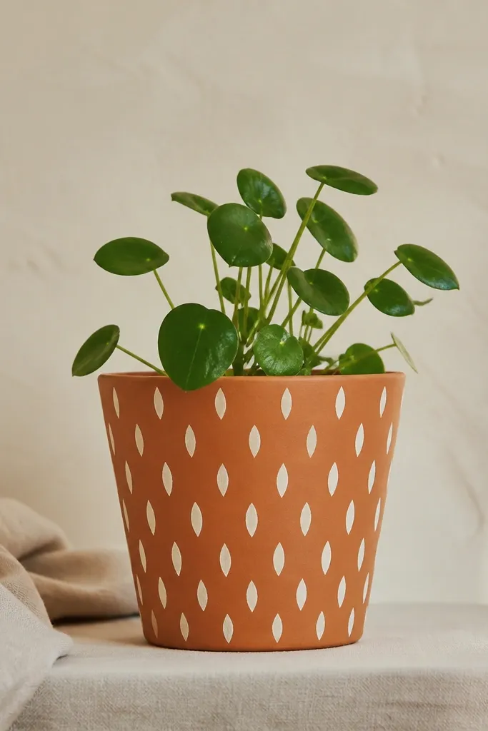A terracotta pot left mostly its original color, with crisp white seed shapes arranged in a repeating pattern. The seeds look like tiny ovals with pointed ends, evenly spaced.
