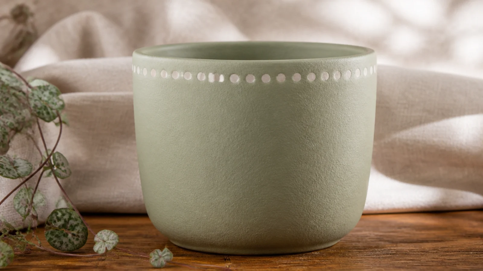 A pale sage small pot with a single row of evenly spaced white dots running around just below the rim.
