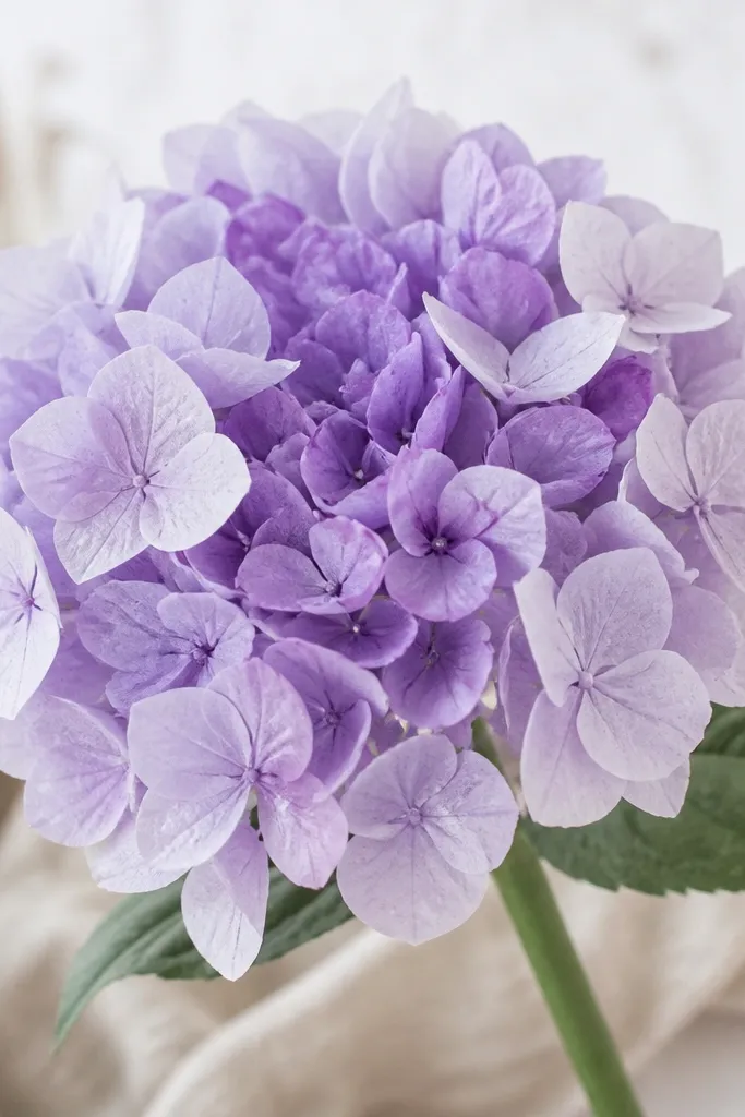 A cluster of small lavender hydrangea-like blooms made from layered tissue squares. The flower has a dense center and airy rounded petals.