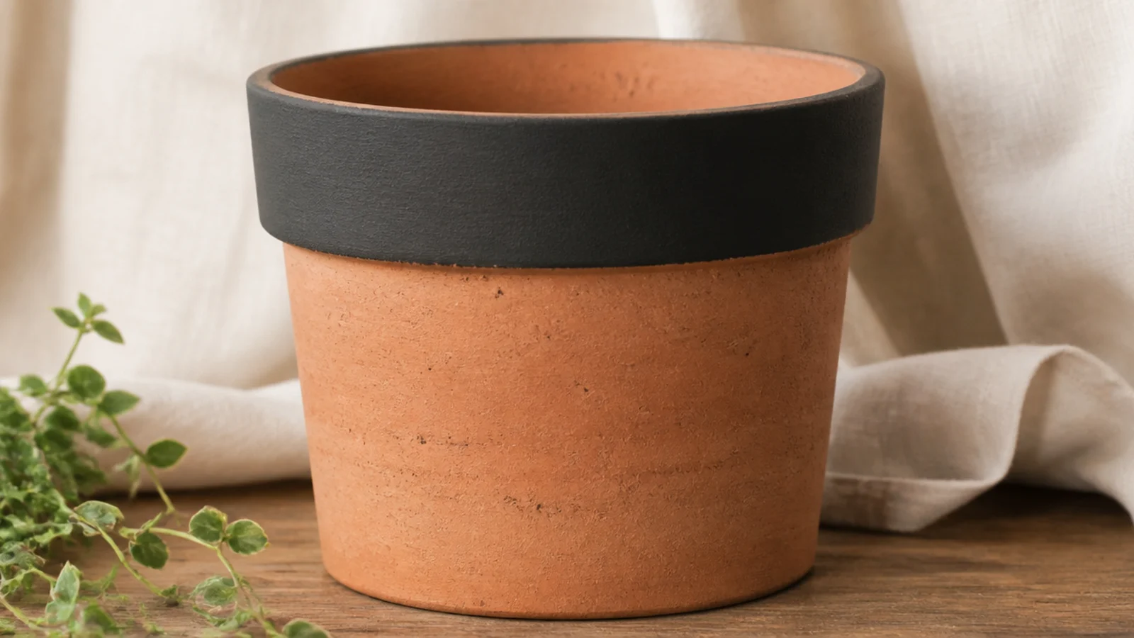 A natural terracotta pot with a wide band of matte charcoal paint covering the rim and top inch, the body left as bare clay.
