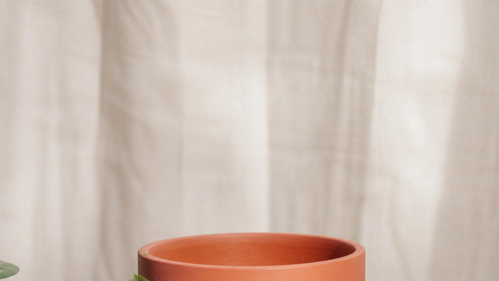 Terracotta pot painting ideas that celebrate the natural clay