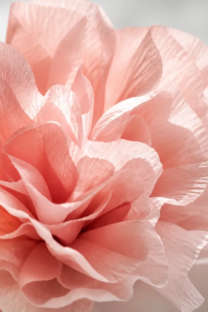 Close-up of tissue petals with visibly ruffled edges. Each petal has a slight wave from gentle finger crimping. The flower looks airy and the edges catch light.