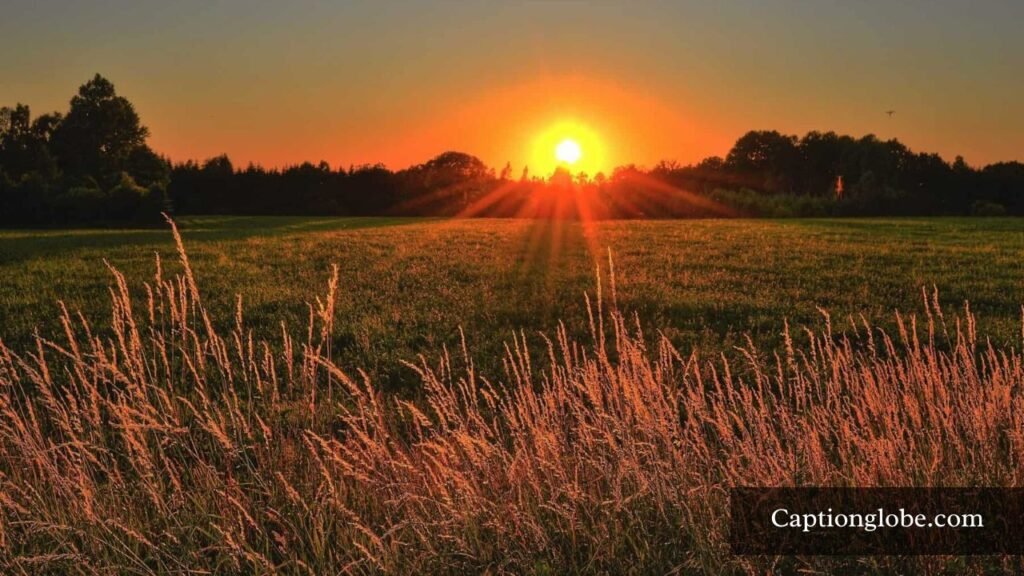 captions for sunrise