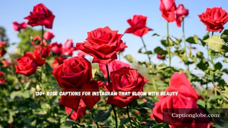 Rose Captions for Instagram