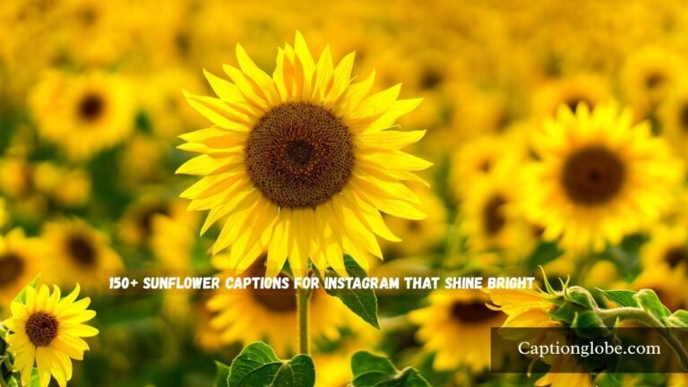sunflower captions for Instagram