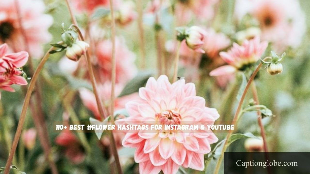 Flower Hashtags