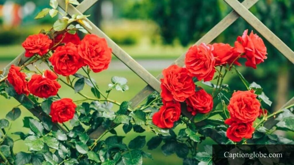 flowers hashtags